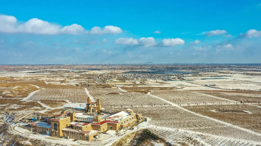 九頂莊園 | 雪，是自然送給大地的情書